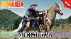Bonanza Renegade Trail Best Western Cowboy Hd Movie Full Episode Premier Series 2024