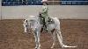 Scottsdale Arabian Horse Show 2021 Western Pleasure